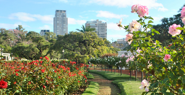 Rosedal de Palermo