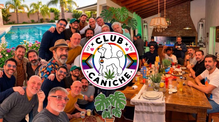 Banner Club Caniche