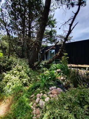 Imagen de WhatsApp 2025-12-08 a las 12.19.49_623306b0