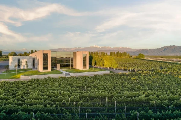 Vina_Cobos_Bodega-1536x1023